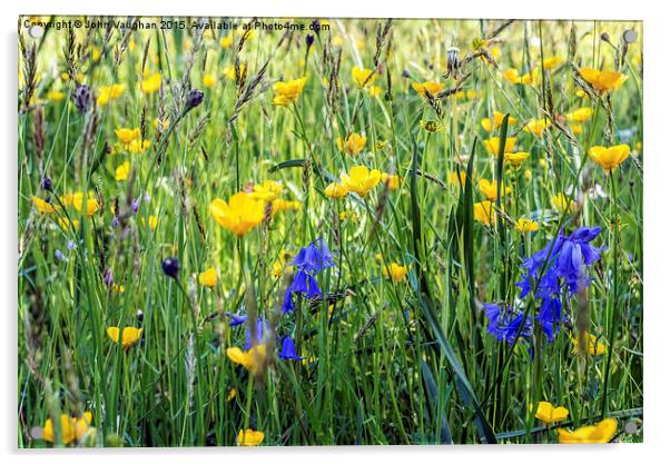  Buttercup Meadow Acrylic by John Vaughan