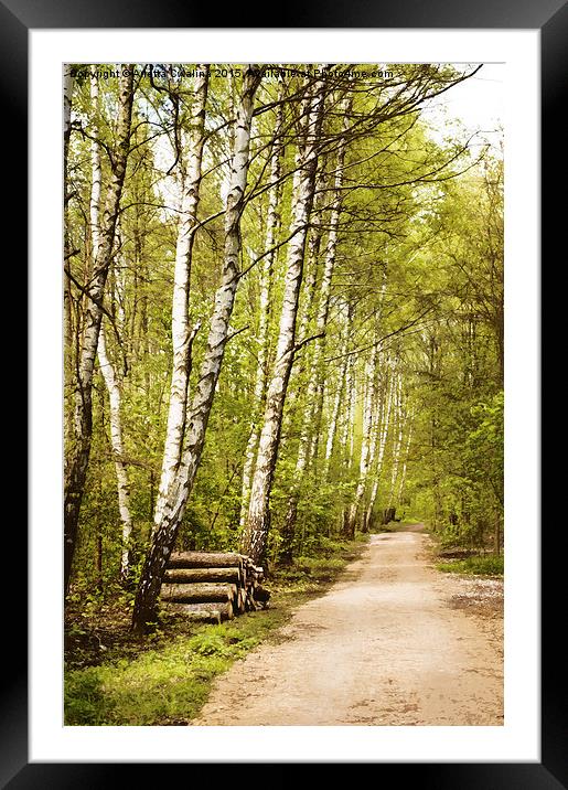 Spring birches woods footpath Framed Mounted Print by Arletta Cwalina