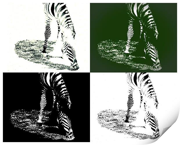  Zebra Abstract Print by Tom and Dawn Gari
