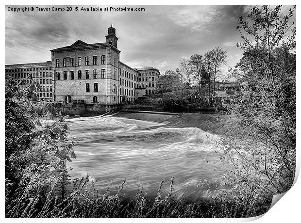  Salts Mill b&w Print by Trevor Camp