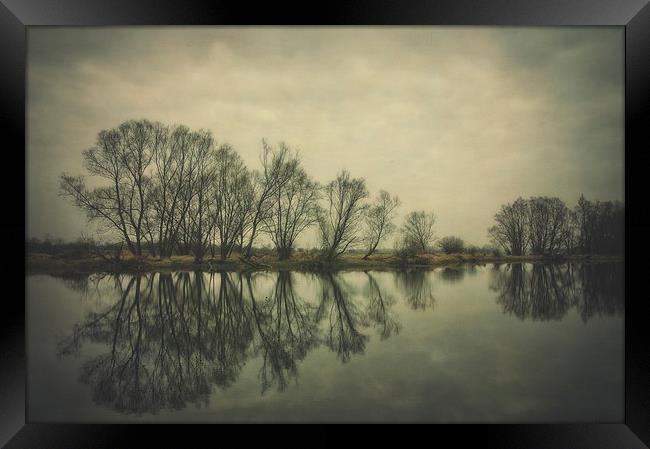 Along the river #8 Framed Print by Piotr Tyminski