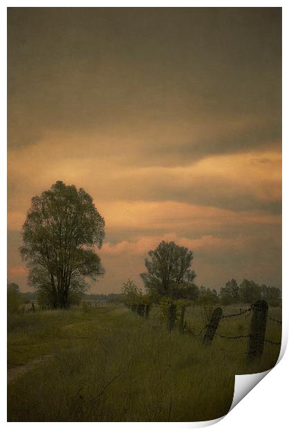 Lost trails #1 Print by Piotr Tyminski