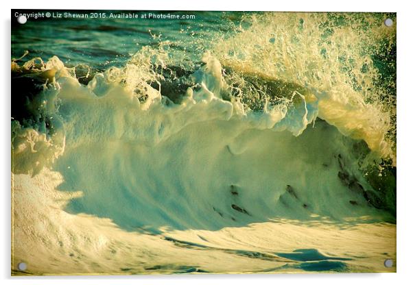  Waves of Charmouth Acrylic by Liz Shewan