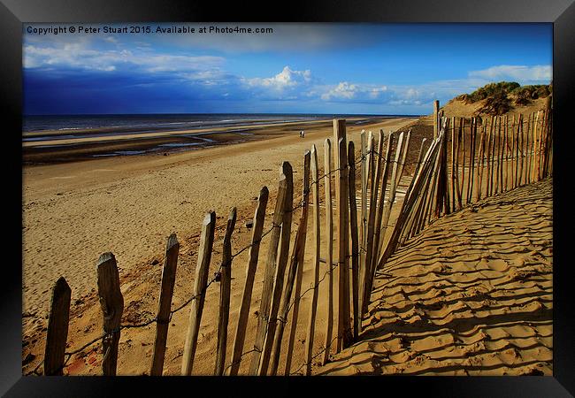  Fenced in at the beach Framed Print by Peter Stuart