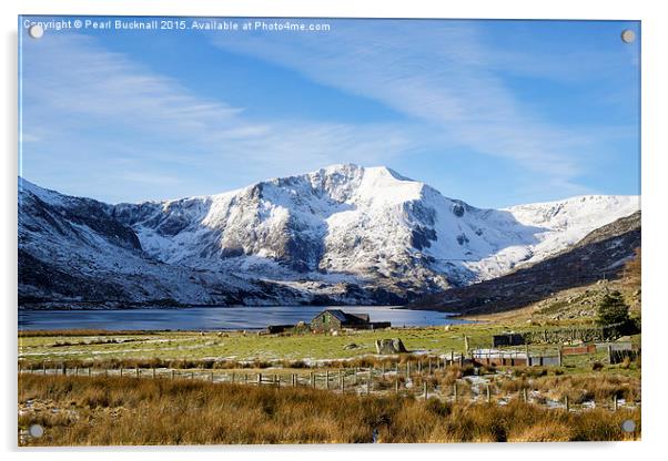 Y Garn mountain Snowdonia wales UK Acrylic by Pearl Bucknall