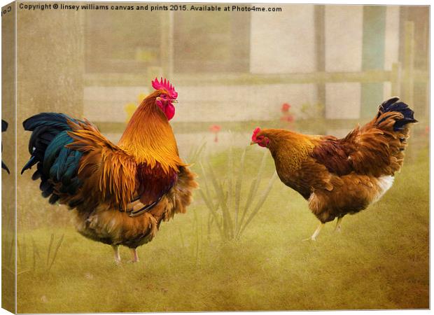  Hen Party, Dancin' The Night Away Canvas Print by Linsey Williams