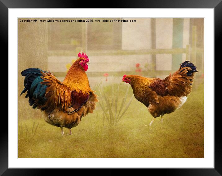  Hen Party, Dancin' The Night Away Framed Mounted Print by Linsey Williams