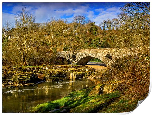 The Old Road Bridge, Cenarth, Carmarthenshire, Wal Print by Mark Llewellyn