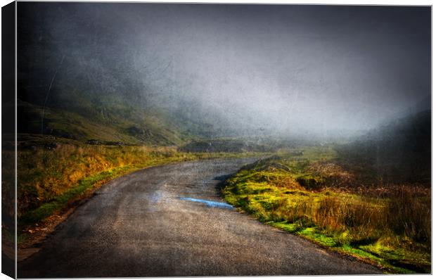  Mysterious Road Canvas Print by Svetlana Sewell