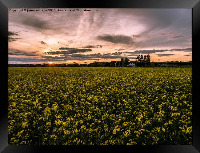 Sunset over Rapeseed.  Framed Print by Jason Williams