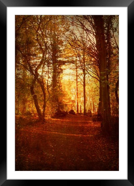  A Quiet Space. Framed Mounted Print by Heather Goodwin