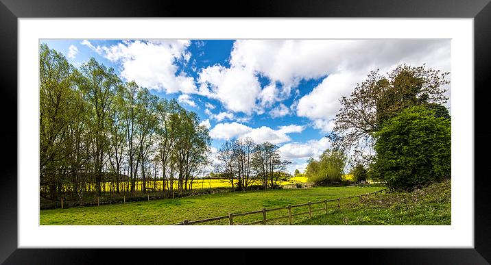  Oilseed Rape Field In The Cotswolds  Framed Mounted Print by john spreadbury