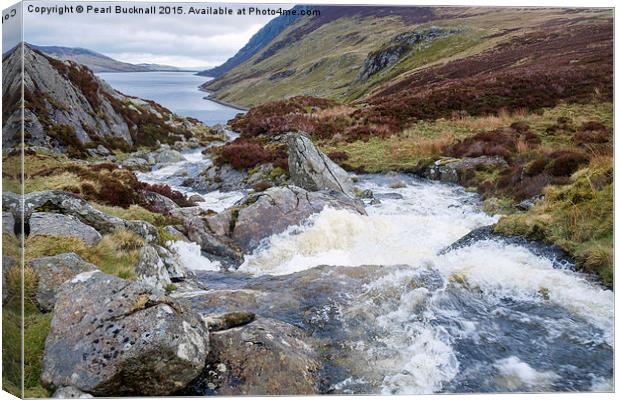 Mountain Stream in Snowdonia Canvas Print by Pearl Bucknall
