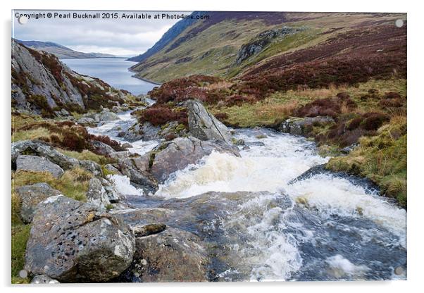 Mountain Stream in Snowdonia Acrylic by Pearl Bucknall