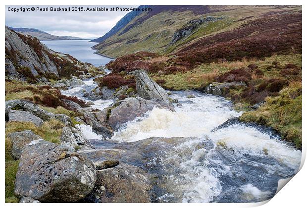 Mountain Stream in Snowdonia Print by Pearl Bucknall