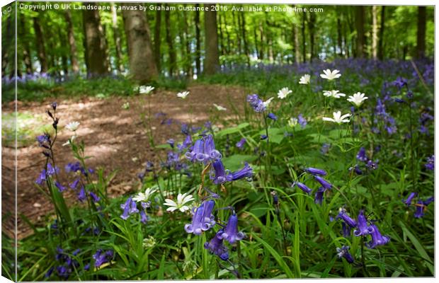  Bluebell Woods Canvas Print by Graham Custance