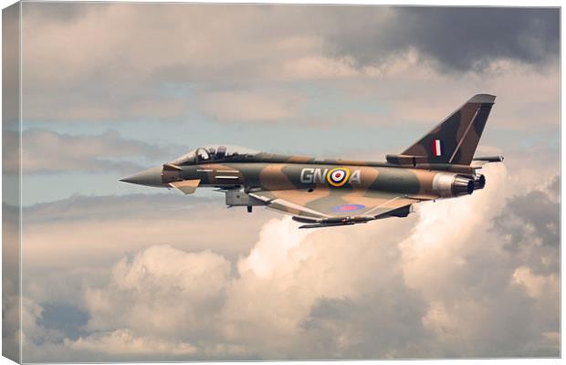  RAF Camouflage Typhoon Jet Canvas Print by Andrew Scott