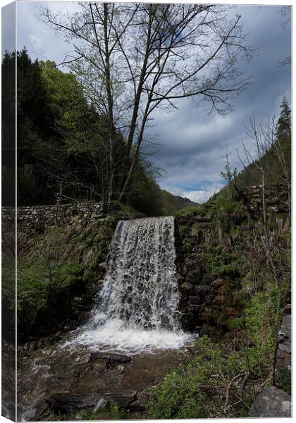Small waterfall near Rau Sadului Romania Canvas Print by Adrian Bud