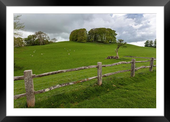  Rustic wooden fence Framed Mounted Print by Leighton Collins