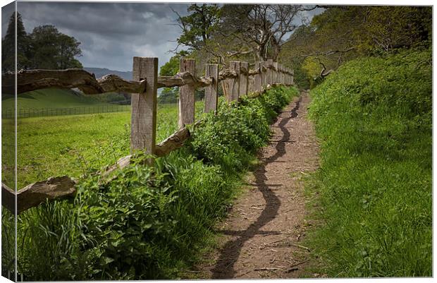  Crooked fence with shadow Canvas Print by Leighton Collins