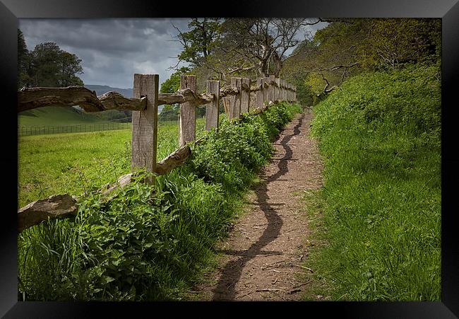  Crooked fence with shadow Framed Print by Leighton Collins