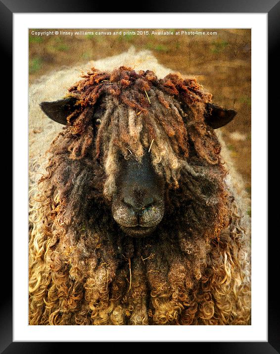 Because Ewe Are Worth It Framed Mounted Print by Linsey Williams