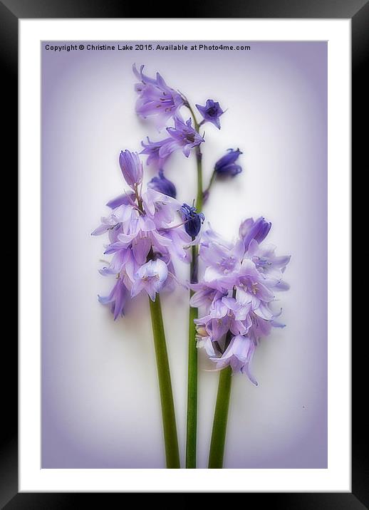 Magic Moments in Blue  Framed Mounted Print by Christine Lake