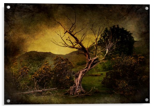  Dead Tree Acrylic by Svetlana Sewell