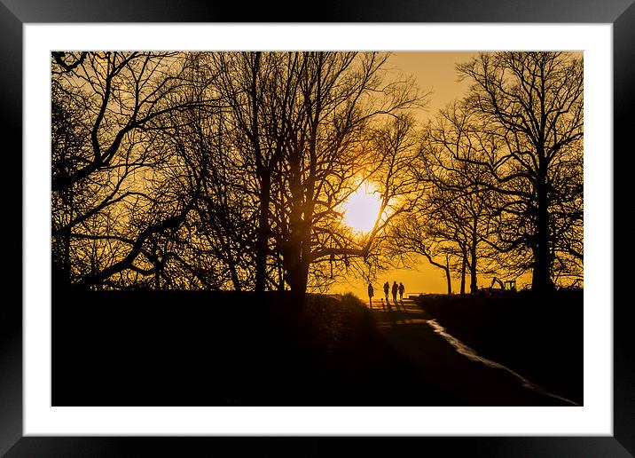 Evening Stroll Framed Mounted Print by Laura Kenny