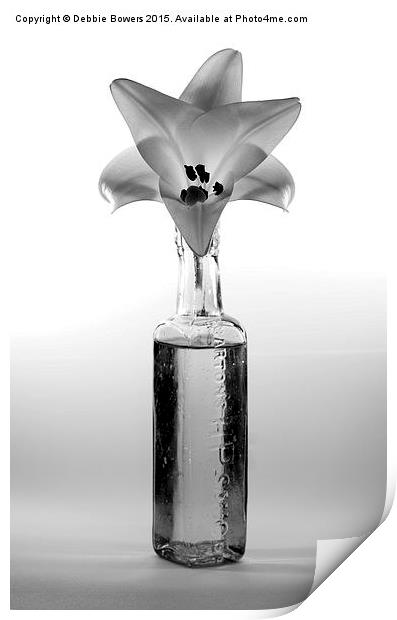  Calla Lilly in a bottle Monochrome  Print by Lady Debra Bowers L.R.P.S