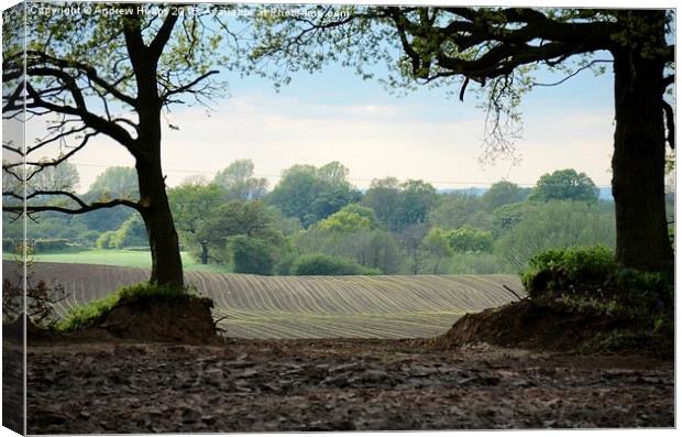  Ploughed field Canvas Print by Andrew Heaps