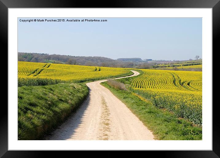 Meandering Track Through Yellow Rape Seed Crops Framed Mounted Print by Mark Purches