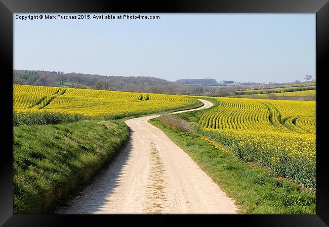 Meandering Track Through Yellow Rape Seed Crops Framed Print by Mark Purches