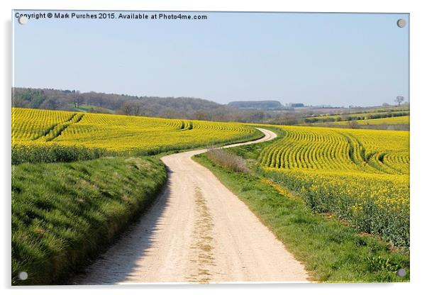 Meandering Track Through Yellow Rape Seed Crops Acrylic by Mark Purches