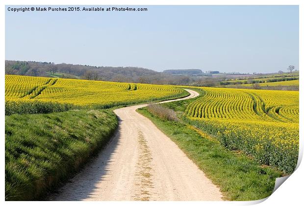 Meandering Track Through Yellow Rape Seed Crops Print by Mark Purches