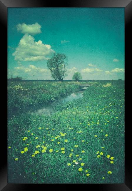 Dandelions Framed Print by Piotr Tyminski