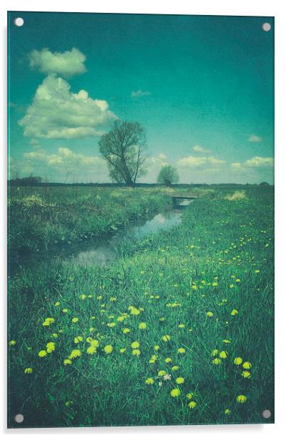 Dandelions Acrylic by Piotr Tyminski