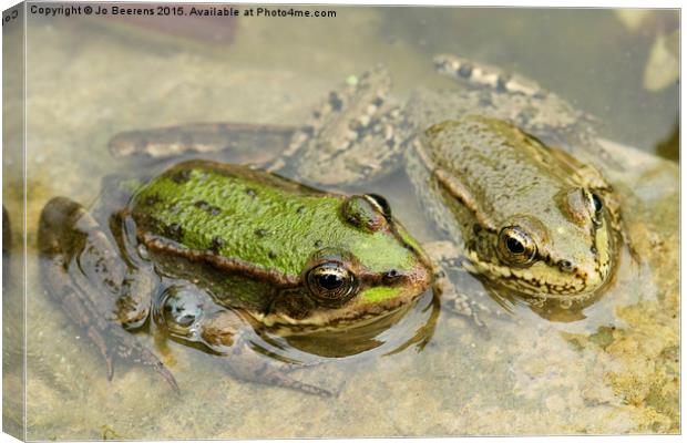 two frogs Canvas Print by Jo Beerens