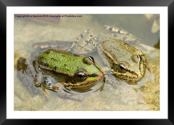  two frogs Framed Mounted Print by Jo Beerens
