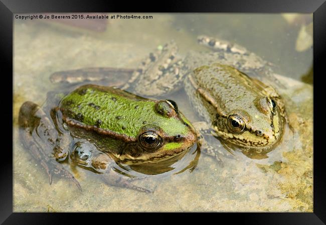  two frogs Framed Print by Jo Beerens
