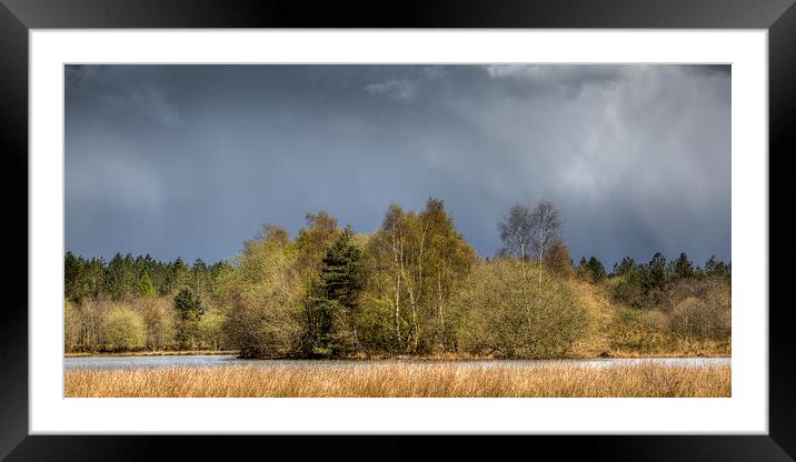  Stormy Light Framed Mounted Print by David Tinsley
