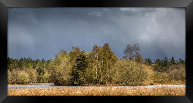  Stormy Light Framed Print by David Tinsley