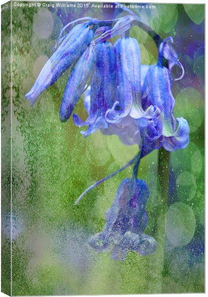  Bluebell Textures Canvas Print by Craig Williams
