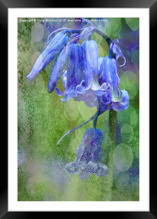  Bluebell Textures Framed Mounted Print by Craig Williams