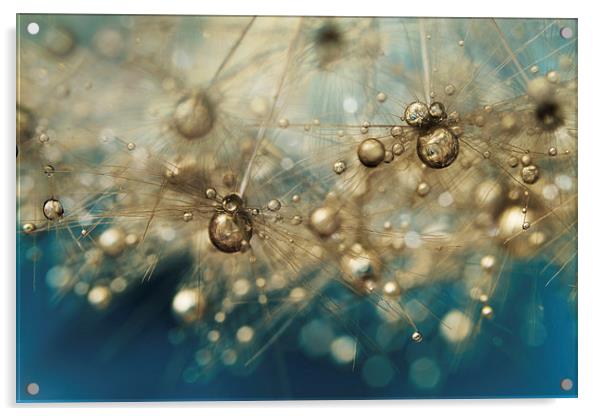  Ocean Deep Dandy Drops Acrylic by Sharon Johnstone