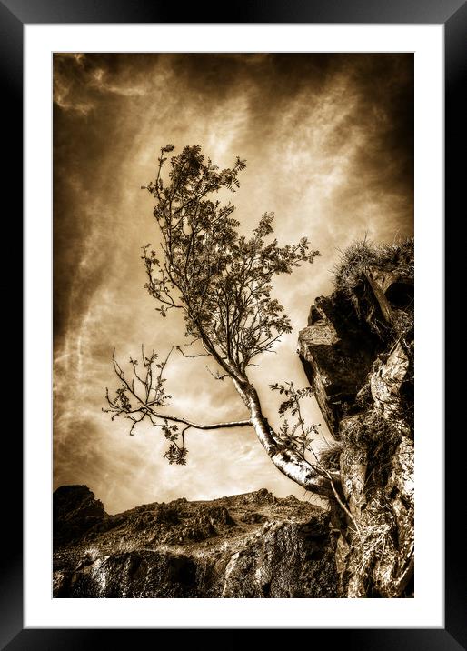  To the sky Framed Mounted Print by Svetlana Sewell