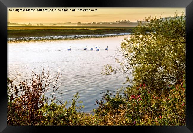 River Trent, Nottinghamshire Framed Print by Martyn Williams