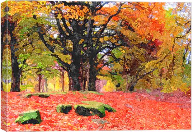  scottish fall Canvas Print by dale rys (LP)