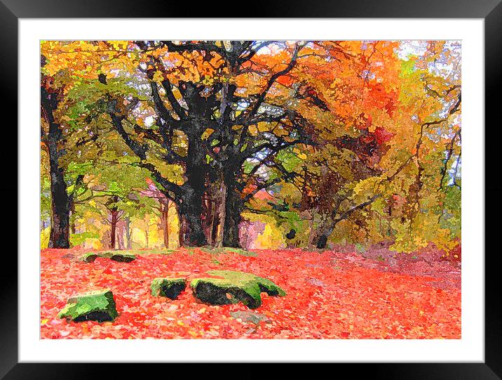  scottish fall Framed Mounted Print by dale rys (LP)