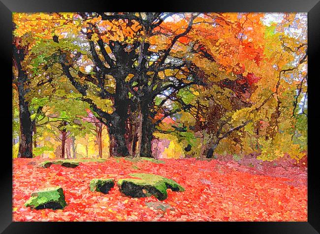  scottish fall Framed Print by dale rys (LP)